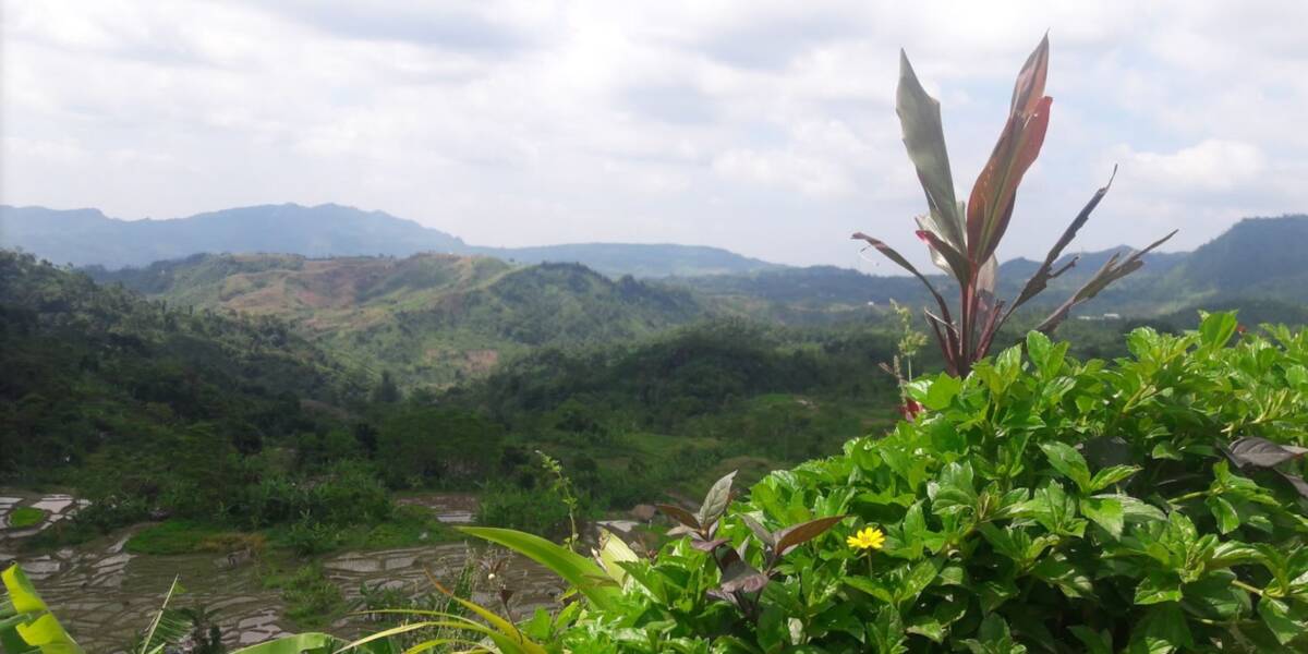 Hiking in Sentul Jakarta  Nature  Trips Group InterNations