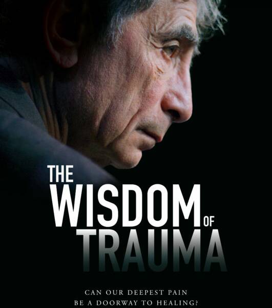 the wisdom of trauma